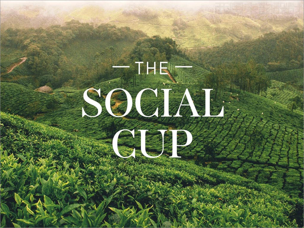 印度Social Cup茶葉品牌logo設計